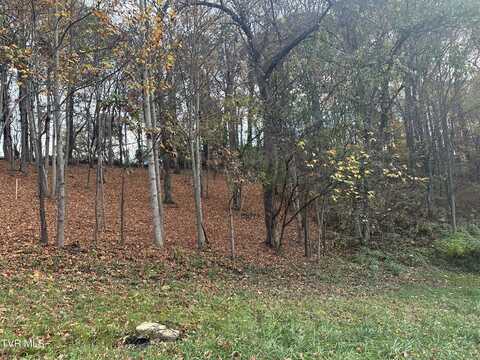 126 Maple Crest, Greeneville, TN 37743