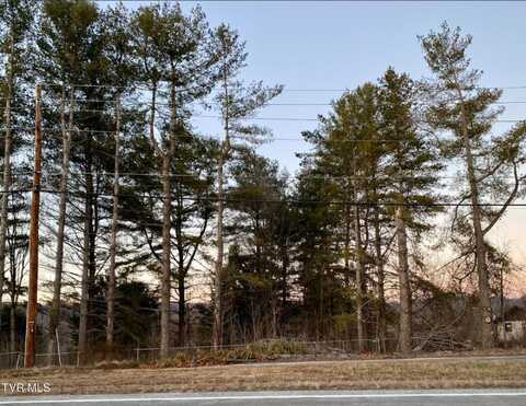 Tbd Carters Valley Road, Church Hill, TN 37642