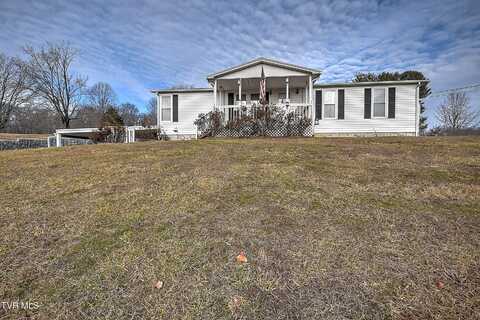 320 Dearstone Pvt Drive, Bristol, TN 37620