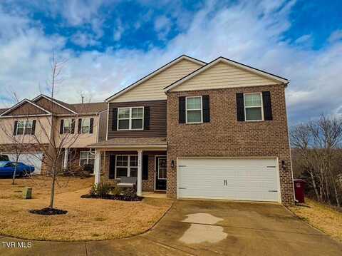 490 Brinkleys Way, Johnson City, TN 37615