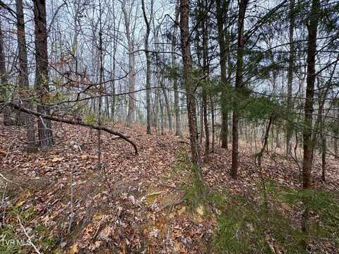 Lot 44 Zuni Way, Del Rio, TN 37727