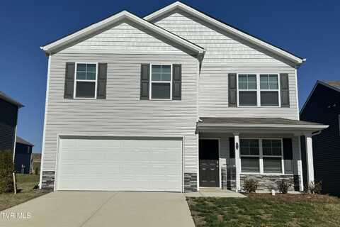 152 Crawford Circle, Bristol, TN 37620