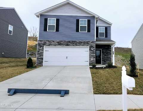 1613 Fox Meadows Circle, Bluff City, TN 37618