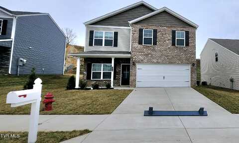 1619 Fox Meadows Circle, Bluff City, TN 37618