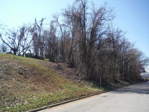 Locust Street, Greeneville, TN 37745