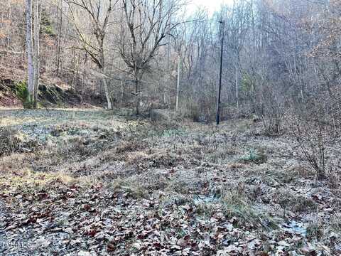 Tract 1 Bundren Mountain Road, Tazewell, TN 37879