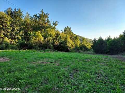 4123 Panther Creek Road, Sneedville, TN 37869