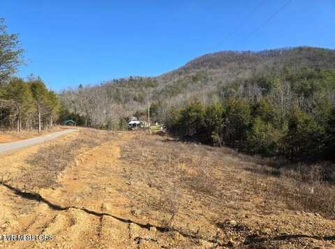 4123 Panther Creek Road, Sneedville, TN 37869