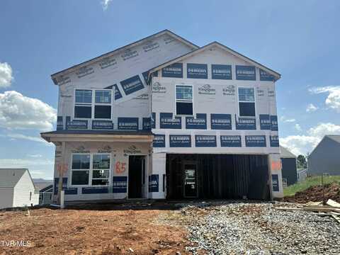 821 Pinhoti Street, Johnson City, TN 37604