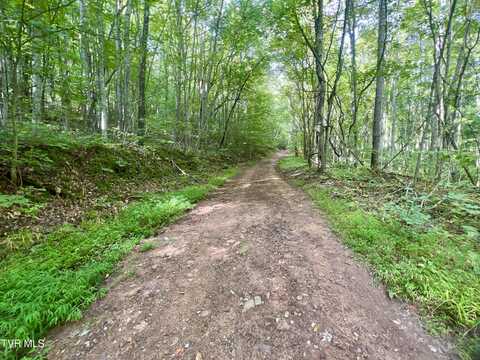 1200 Douglas Drive, Sneedville, TN 37869