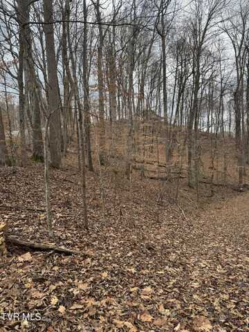 Golf Course Road, Unicoi, TN 37692