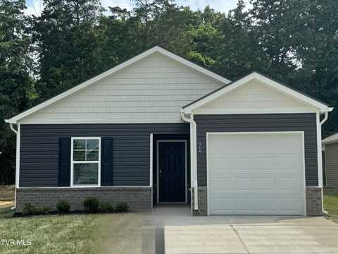 384 Arrowhead Drive, Johnson City, TN 37601