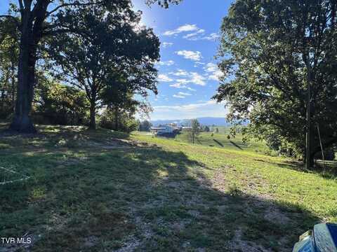 240 Austin Mill Road, Rogersville, TN 37857