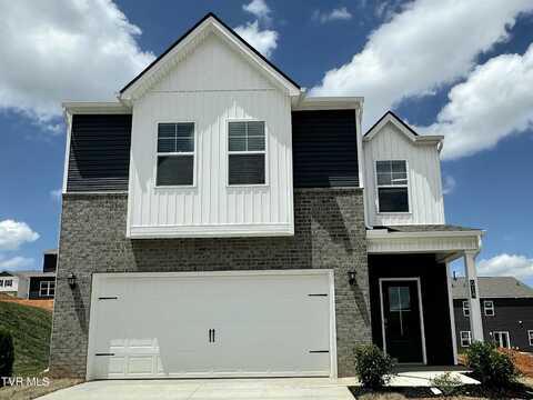 614 Canoe Street, Johnson City, TN 37604