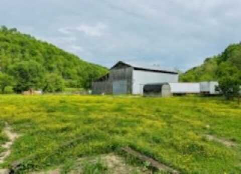 1611 Knob Creek Rd, Celina, TN 38551