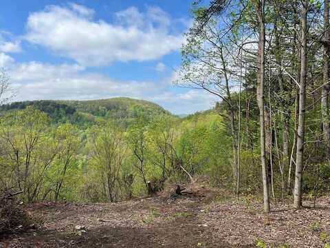 1247 Wind Rush Way, MONTEREY, TN 38574