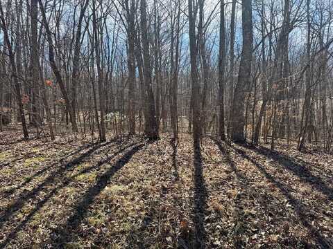 Davidson Drive, MONTEREY, TN 38574