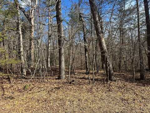 Cumberland Lakes Drive, MONTEREY, TN 38574