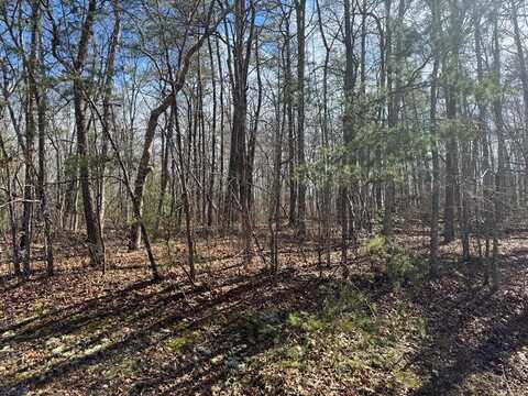 N Laurel Loop, MONTEREY, TN 38574