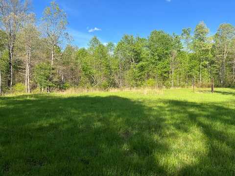 328ac Peavine Firetower Rd, CROSSVILLE, TN 38571