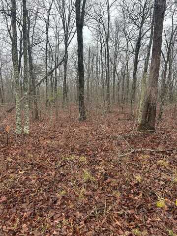 8949 Pima Drive, CROSSVILLE, TN 38572