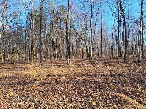 541 Diane Circle, CROSSVILLE, TN 38572