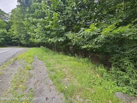 49 Eagles Nest Road, Jewett, NY 12444