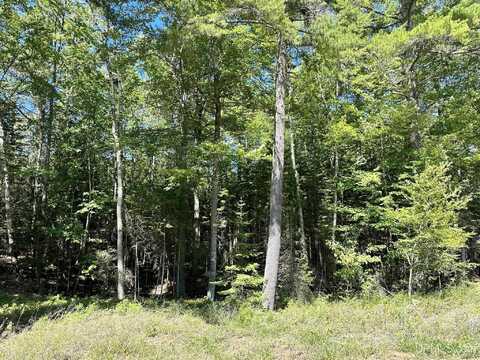 TBD Hemlock Views, Manistique, MI 49854
