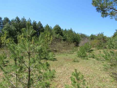 40 Acres Off Snowmobile Trail 133, Mohawk, MI 49950