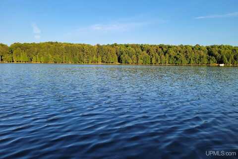 TBD Wildwood, Iron River, MI 49935