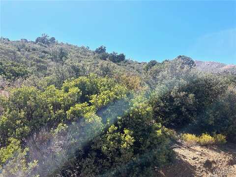McGee Pass, Wikieup, AZ 85360