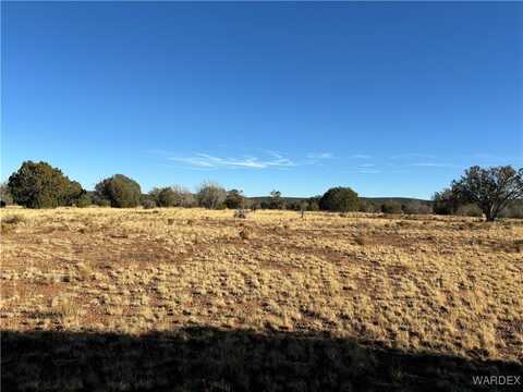 070a Denny, Seligman, AZ 86337