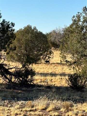 070b Denny, Seligman, AZ 86337