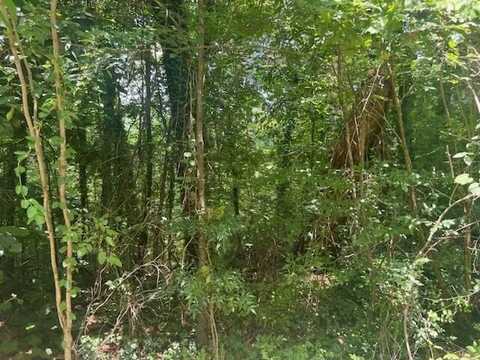 COLLEGE HILL Rd, Jasper, AL 35501