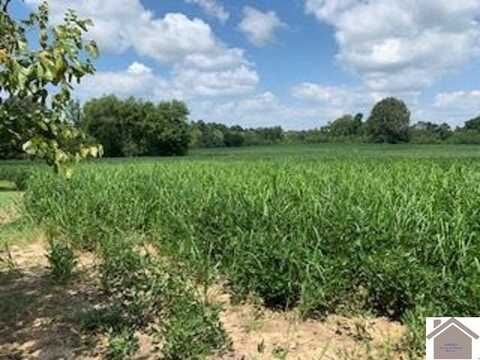 8445 Old Highway 60 West, West Paducah, KY 42086
