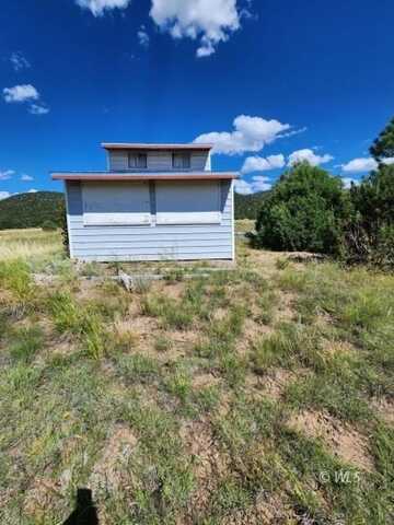 1726 G Path, Texas Creek, CO 81223