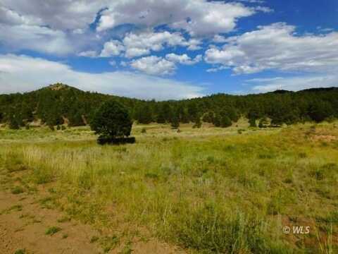 TBD Seven Mile Ranch Road, Westcliffe, CO 81252