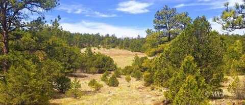 TBD Seven Mile Ranch Road, Westcliffe, CO 81252
