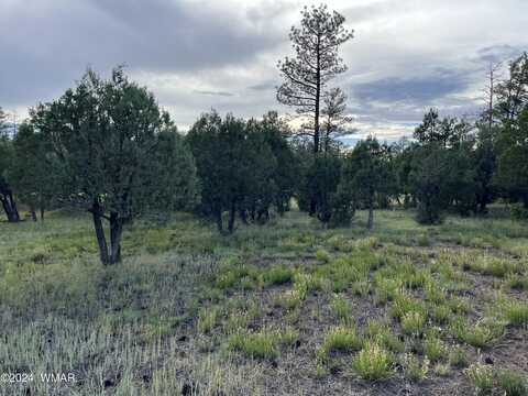 5402 Red Squirrel Lane, Lakeside, AZ 85929