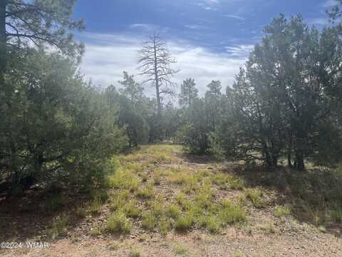 5455 Red Squirrel Lane, Lakeside, AZ 85929