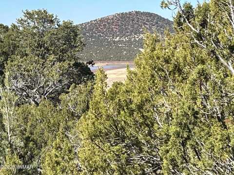 Lot 79 Ranch Road, Vernon, AZ 85940
