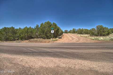 1916 Daggs Circle, Show Low, AZ 85901