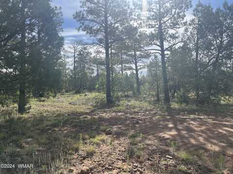5509 Red Squirrel Lane, Lakeside, AZ 85929