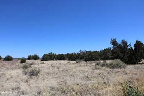 7655 Del Rio Drive, Show Low, AZ 85901