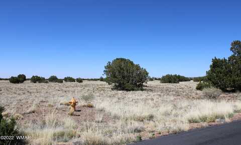 7700 Del Rio Drive, Show Low, AZ 85901