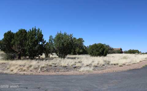 2511 Rock View Drive, Show Low, AZ 85901