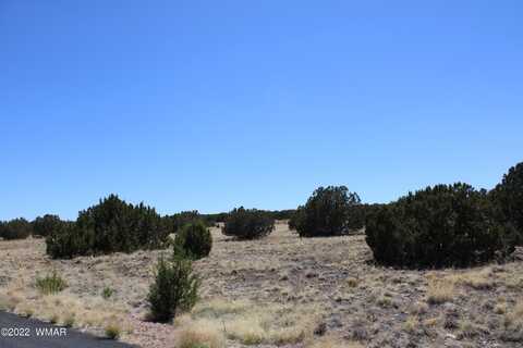 2524 Rock View Drive, Show Low, AZ 85901