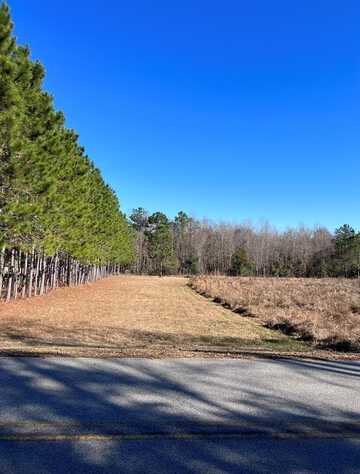 520 Limestone Ln, Mt. Vernon, GA 30445