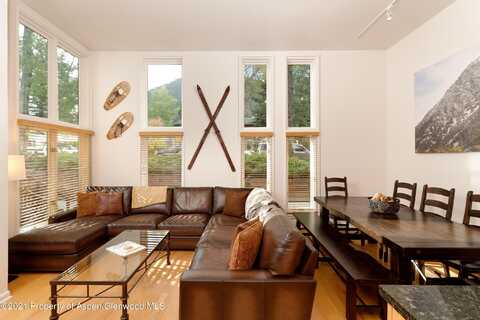 900 E Durant Avenue, Aspen, CO 81611