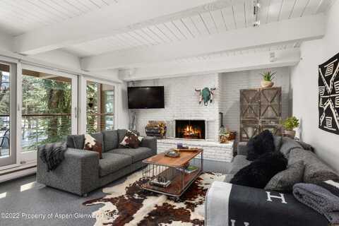 1034 E Cooper Avenue, Aspen, CO 81611